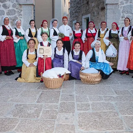 Guest house & Sinkic Pirovac