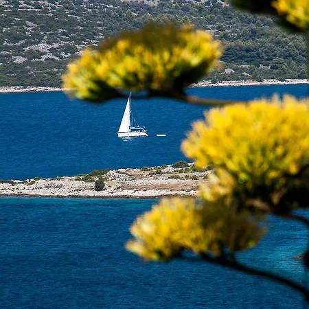 Guest house & Sinkic