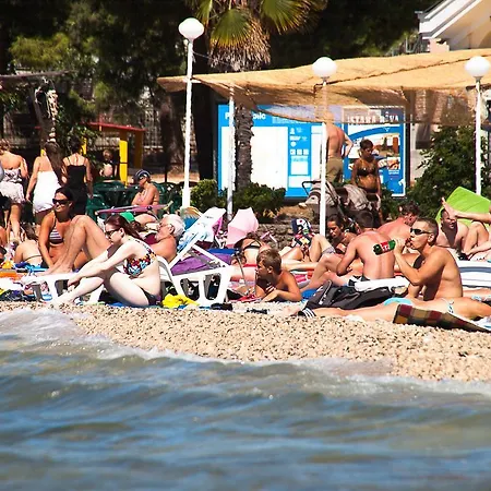 Guest house & Sinkic 3*
