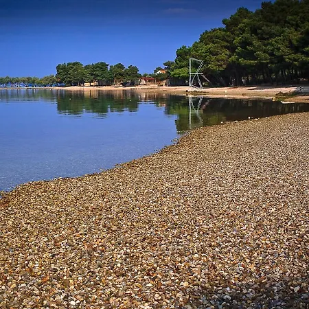 Guest house & Sinkic 3*
