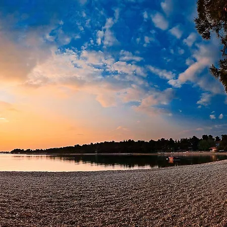 Guest house & Sinkic 3*